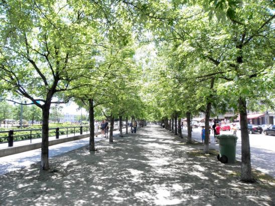 Walkway along Quai King Edward near Old Montreal