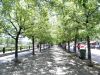 Walkway along Quai King Edward near Old Montreal