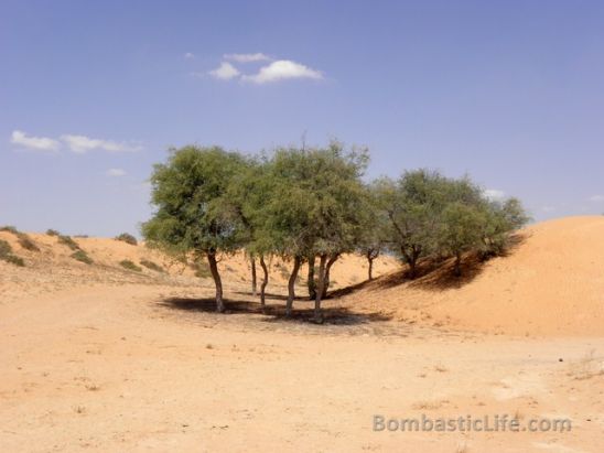 Banyan Tree Al Wadi