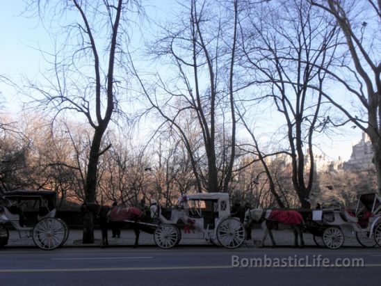Horses and Carriages waiting to passengers outside of Central Park in New York.