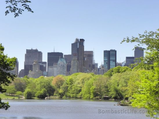 New York Skyline from Central Park