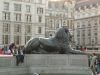 Lion Statue in Trafalgar Square