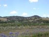 Barrosa Valley near Adelaide, Australia