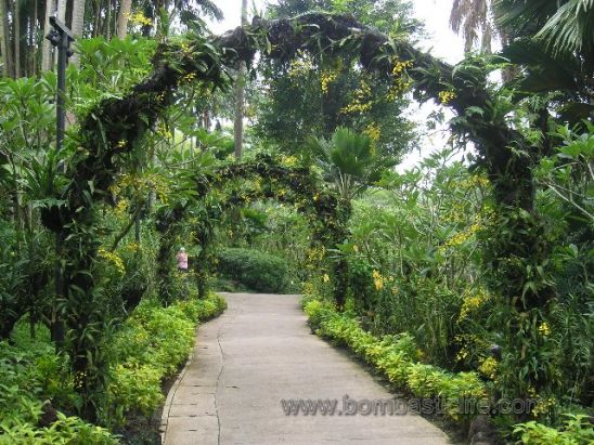 Singapore Botanical Garden