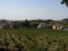 The Chateneuf du Pape wine region near Avignon, France