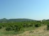 The Chateneuf du Pape wine region near Avignon, France