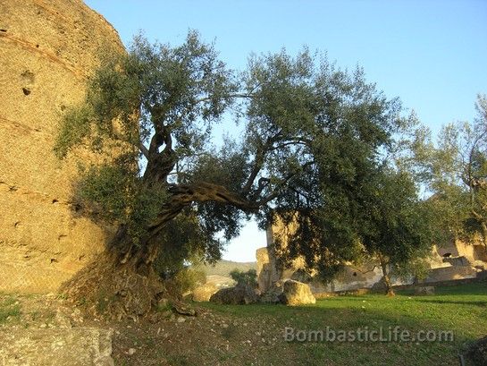 Outside of Rome, Italy