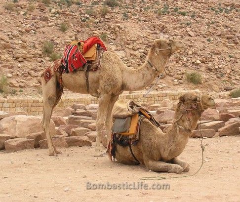 Petra, Jordan