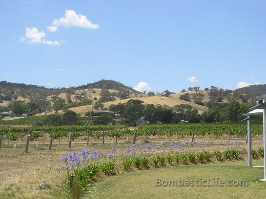 Barossa Valley near Adelaide in the state of South Australia
