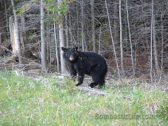 Ontario, Canada