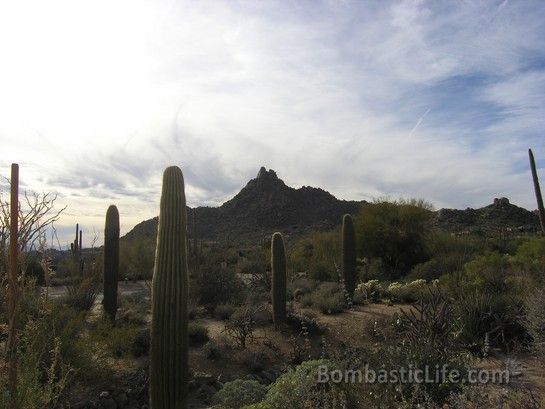 Phoenix, Arizona