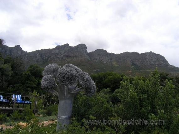 12 Apostles Mountains behind the bombastic 12 Apostles Hotel and Spa - Cape Town, South Africa
