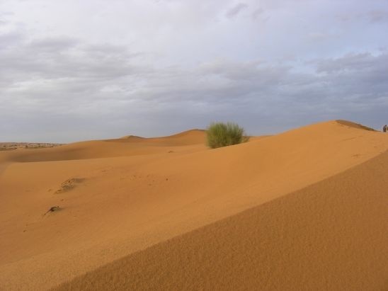 Desert Trip at Al Maha Desert Resort - United Arab Emirates