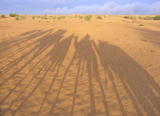 Desert Trip at Al Maha Desert Resort - United Arab Emirates