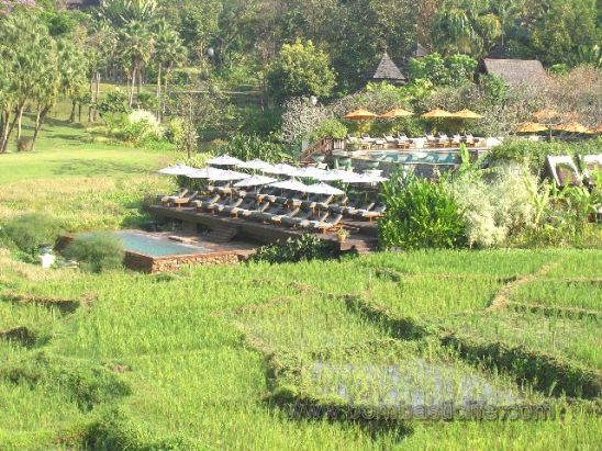 View of pool from covered Veranda of Rice Terrace View King Pavilion at  the Four Seasons Chiang Mai - Chiang Mai, Thailand