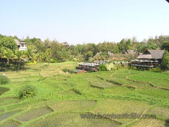 View from covered Veranda of Rice Terrace View King Pavilion at  the Four Seasons Chiang Mai - Chiang Mai, Thailand