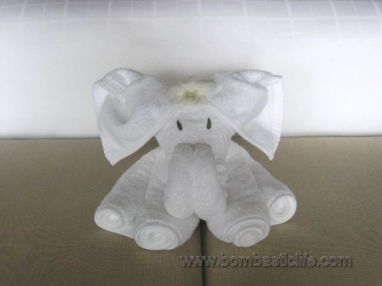 Elephant made from towels and left at the foot of the bed by housekeeping.  It's the small touches that mean so much.