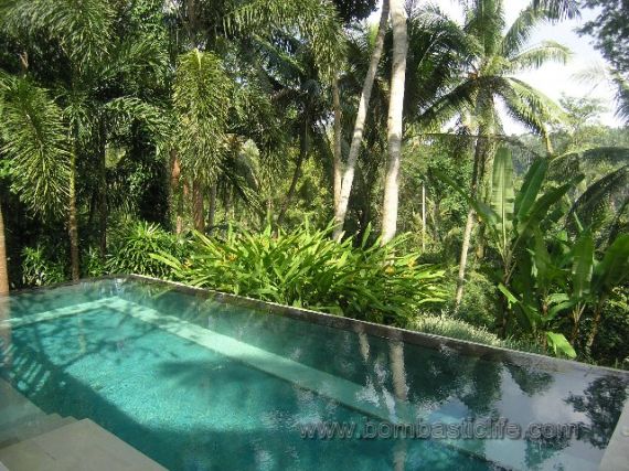 Private Pool - Four Seasons Resort - Sayan, Bali