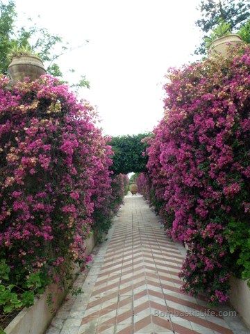 Garden at San Domenico Palace Hotel - Taormina, Italy