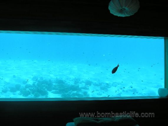 Underwater spa at Huvafen Fushi Resort - Maldives - One of the few great things at Huvafen Fushi.
