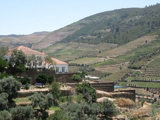 Quinta da Romaneira - Douro Valley, Portugal. 