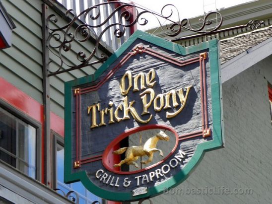 One Trick Pony - Grand Rapids, MI
