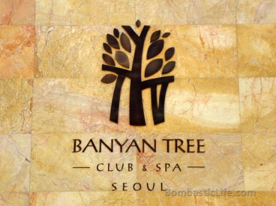 Banyan Tree Hotel - Seoul, Korea
