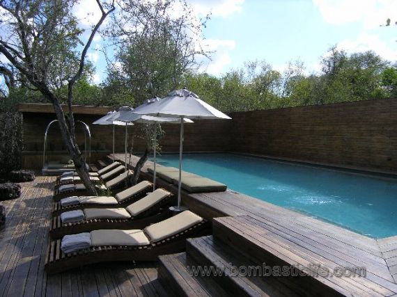 Small pool, but big enough for a boutique lodge like Singita in South Africa.