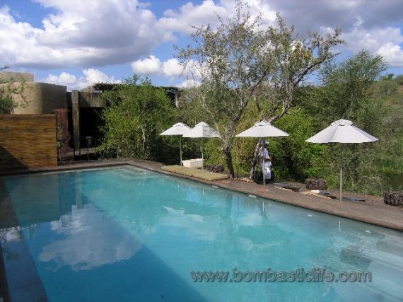 Pool at Singita Sweeni - pure luxury and 5 star service.