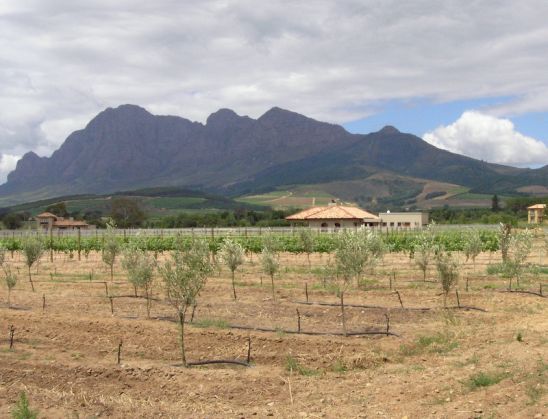 View from Winelands Hotel - Spa and Wellness Centre