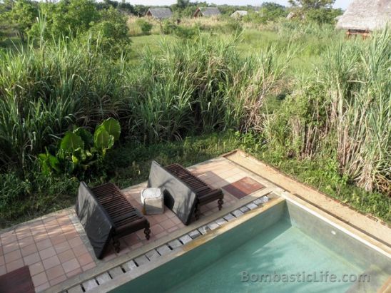 Pool of our Forest Dwelling at Jetwing Vil Uyana Resort - Sigiriya